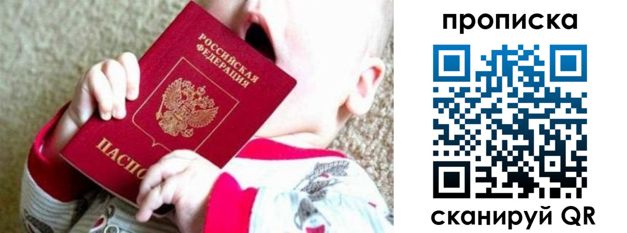 прописка законно в Зеленогорске